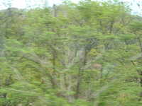  dscf0469.jpg 