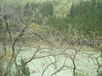  dscf0474.jpg 