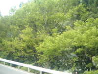  dscf0476.jpg 