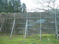  dscf0479.jpg 