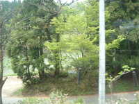 dscf0480.jpg 