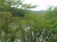  dscf0484.jpg 