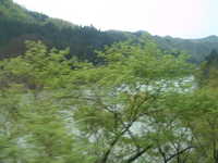  dscf0486.jpg 