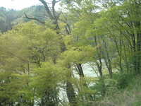  dscf0489.jpg 
