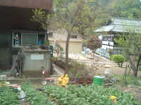 dscf0490.jpg 