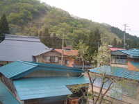  dscf0491.jpg 