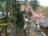  dscf0492.jpg 