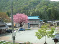  dscf0493.jpg 