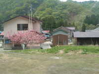  dscf0494.jpg 