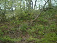  dscf0499.jpg 