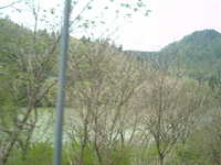  dscf0501.jpg 