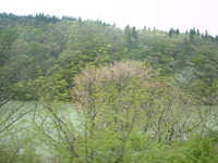  dscf0502.jpg 
