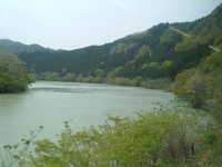  dscf0506.jpg 