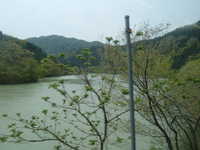  dscf0507.jpg 