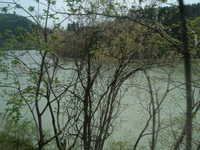  dscf0509.jpg 