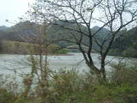  dscf0512.jpg 