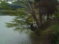  dscf0514.jpg 