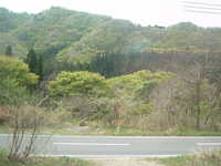  dscf0515.jpg 