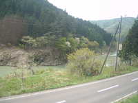  dscf0517.jpg 