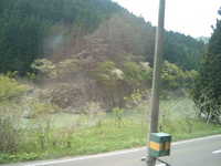  dscf0518.jpg 