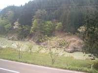  dscf0519.jpg 
