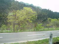  dscf0520.jpg 