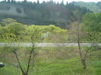  dscf0521.jpg 