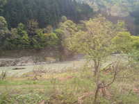  dscf0522.jpg 