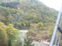  dscf0524.jpg 