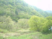  dscf0526.jpg 