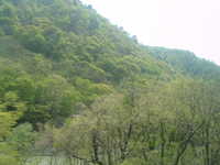  dscf0528.jpg 