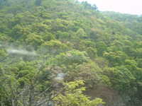  dscf0529.jpg 