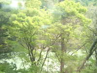  dscf0531.jpg 