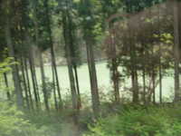  dscf0532.jpg 