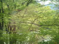  dscf0533.jpg 