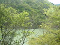  dscf0534.jpg 