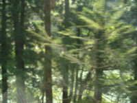  dscf0535.jpg 