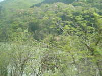  dscf0537.jpg 