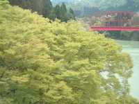  dscf0540.jpg 