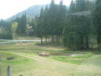  dscf0546.jpg 