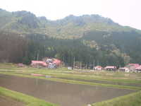  dscf0547.jpg 
