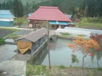  dscf0550.jpg 