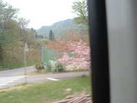  dscf0555.jpg 