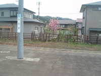  dscf0557.jpg 