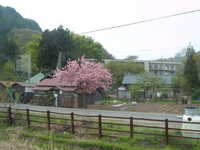  dscf0558.jpg 