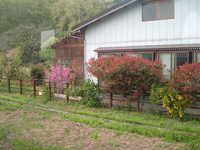  dscf0559.jpg 