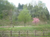  dscf0561.jpg 