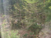  dscf0564.jpg 