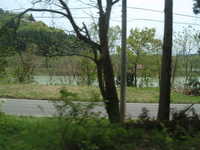  dscf0570.jpg 
