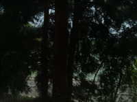  dscf0571.jpg 